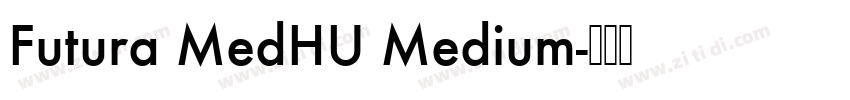 Futura MedHU Medium字体转换